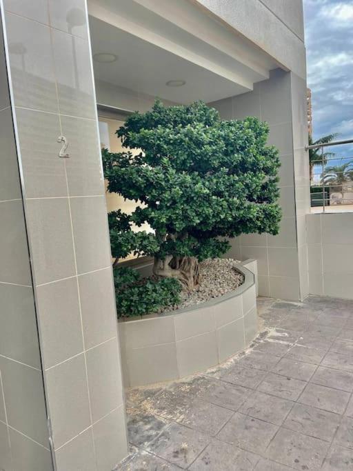 Enjoy Apartment beautiful sea view, perfect for cyclists - One-Bedroom Apartment with Sea View and Balcony - 27
