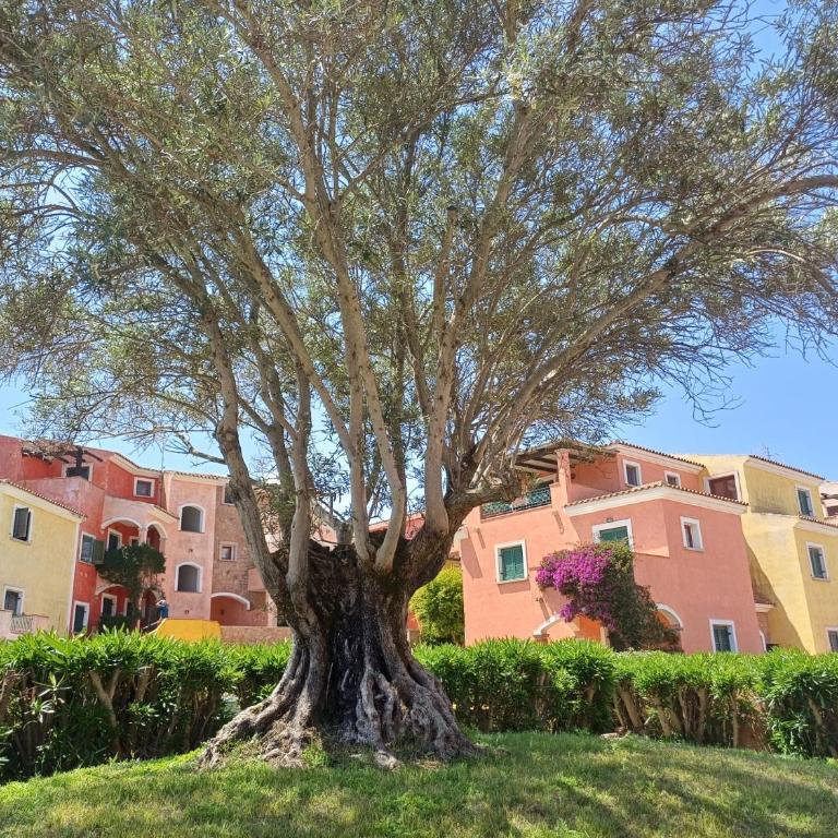 Casa Ginevra - Appartamento con 1 Camera da Letto - 3