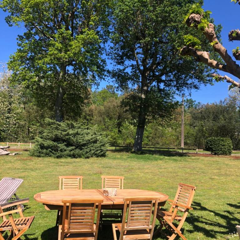 Appartement en pleine nature - Appartement 1 Chambre - 3