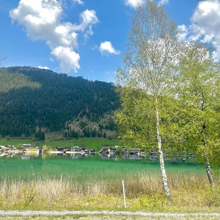 Alpenblick Apartment - Apartment mit 1 Schlafzimmer - 54