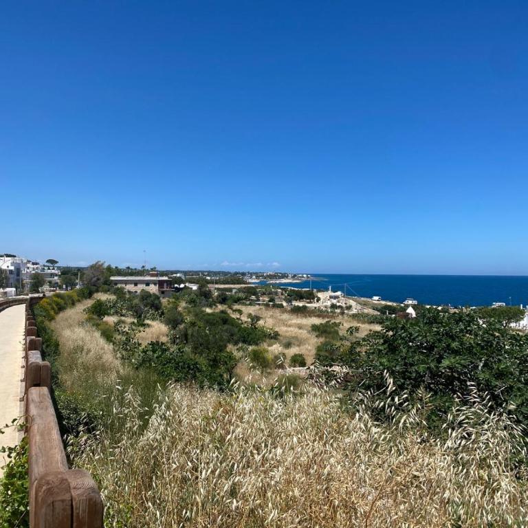 V12 Apartments Puglia Polignano a Mare - Appartamento - 11