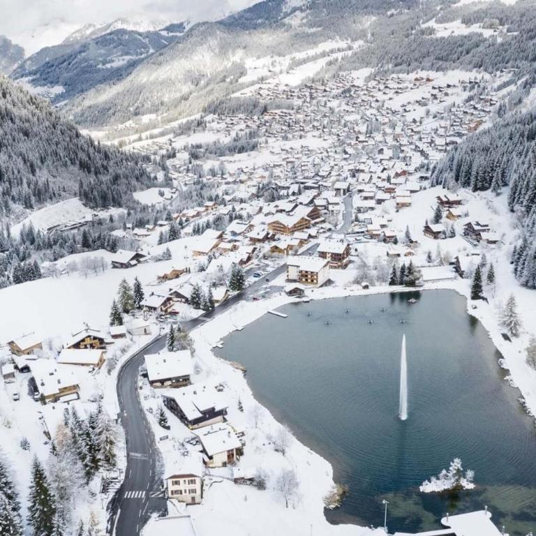 Alpenlake AP110 LAC & NATURE 4 Pers - Appartement - 12