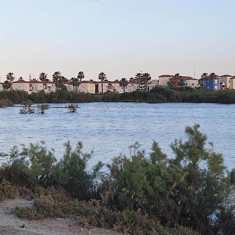 El Mirador de Torremari - Nudista - Vera playa - Apartamento de 2 dormitorios - 31