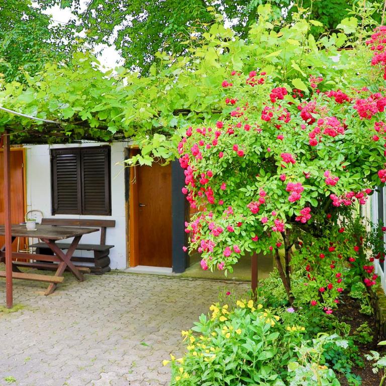 Apartman SUMI - One-Bedroom Apartment - 15
