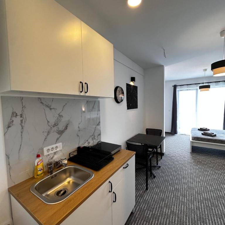 Residence Spa Apartments DUB - Studio with Pool View - 4