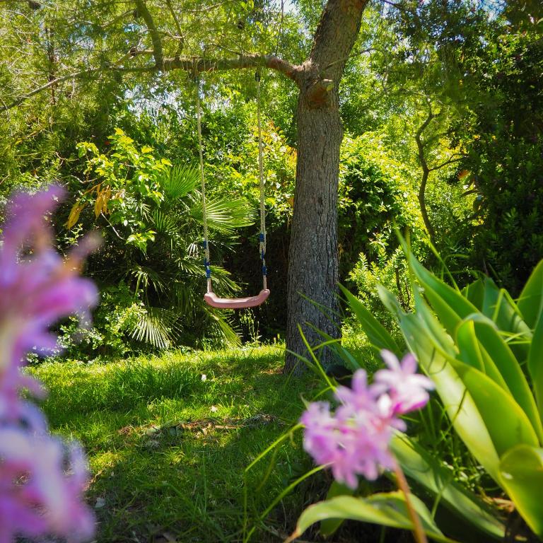 Tarifa Apartement Horses and Nature - Apartamento de 2 dormitorios - 41