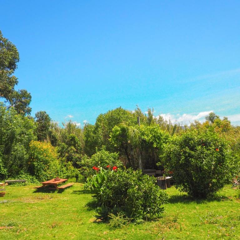 Tarifa Apartement Horses and Nature - Apartamento de 2 dormitorios - 43