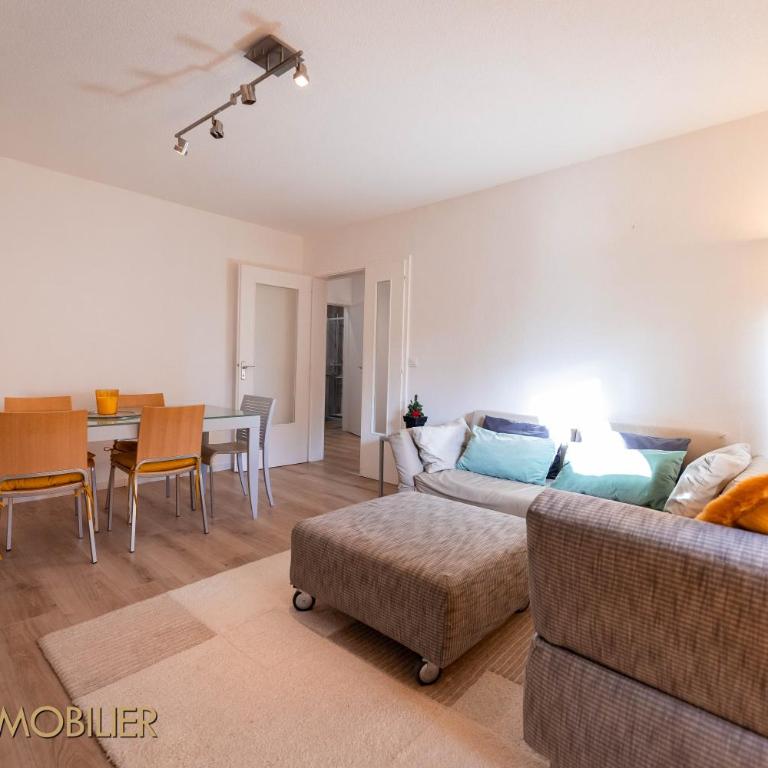 Les Jonquilles - Colmar - Appartamento Superior - 3