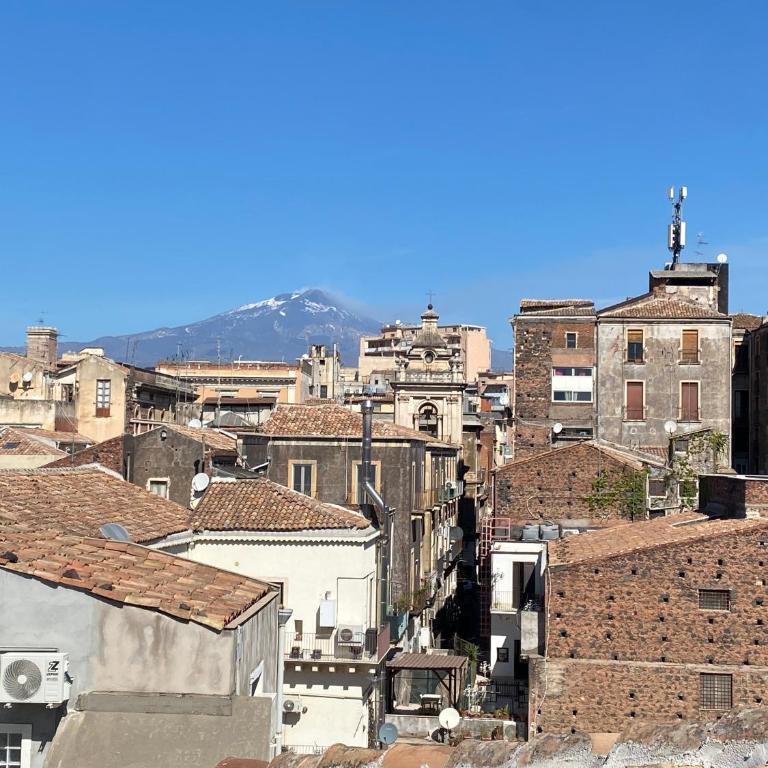 Superior Apartment Catania - Appartamento con 1 Camera da Letto - 67