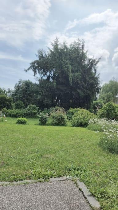 Villa Hohenheim - Apartment am Stadtpark - Apartment mit 1 Schlafzimmer - 18