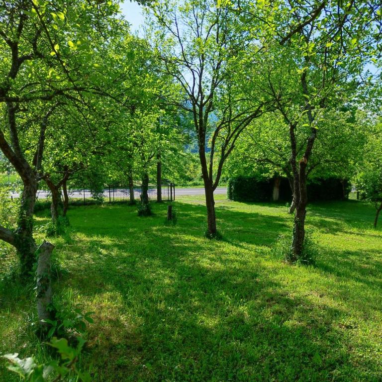 Apartmani Lohovo - One-Bedroom Apartment - 3