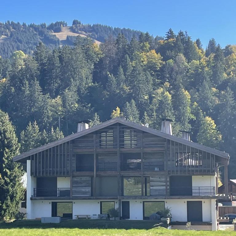 Chalet Esquinade 4 bedrooms appartment Megève - Appartement - 39