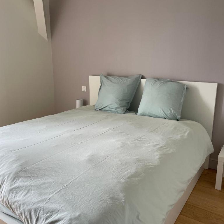 Charmant Appartement au Coeur de l'Avenue Lajarige - Appartement 2 Chambres - 15