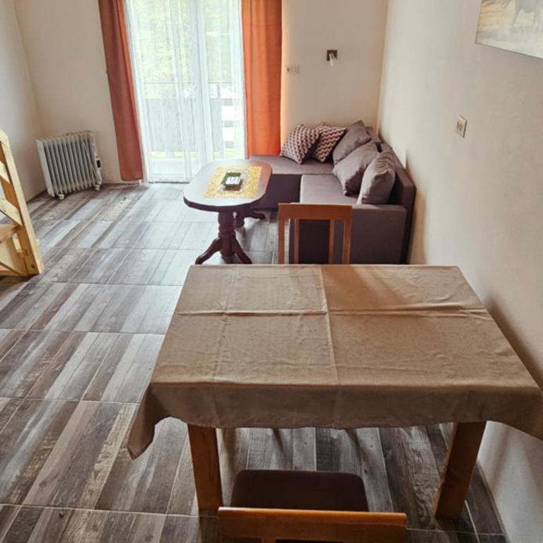 Apartmani JEZERO - Family Room with Lake View - 11