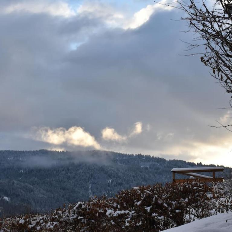 Stylish place-Amazing Views-3 main lifts, Apt design- vue splendide-3 Telecabines - Apartment mit 3 Schlafzimmern - 40