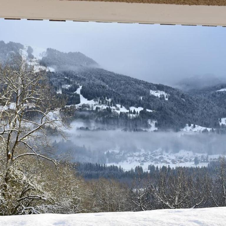 Stylish place-Amazing Views-3 main lifts, Apt design- vue splendide-3 Telecabines - Apartment mit 3 Schlafzimmern - 42