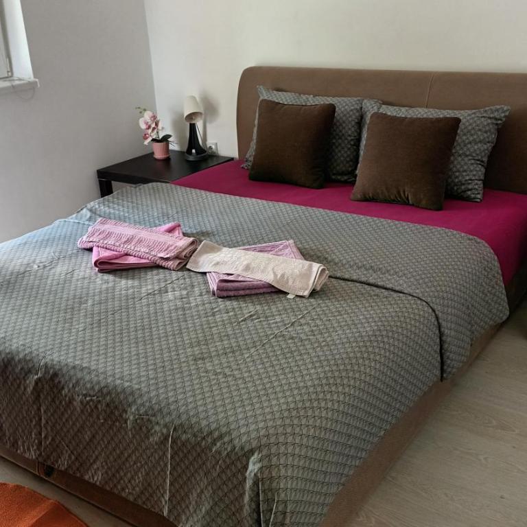 Apartman Rubi Sokobanja - Apartman sa 1 Spavaćom Sobom - 16