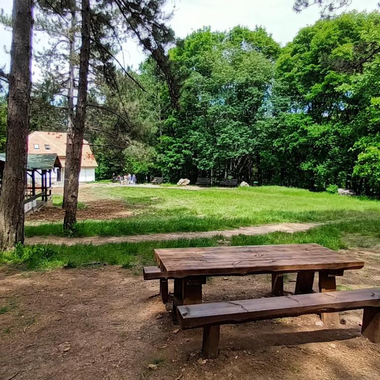 Apartman Rubi Sokobanja - Apartman sa 1 Spavaćom Sobom - 19