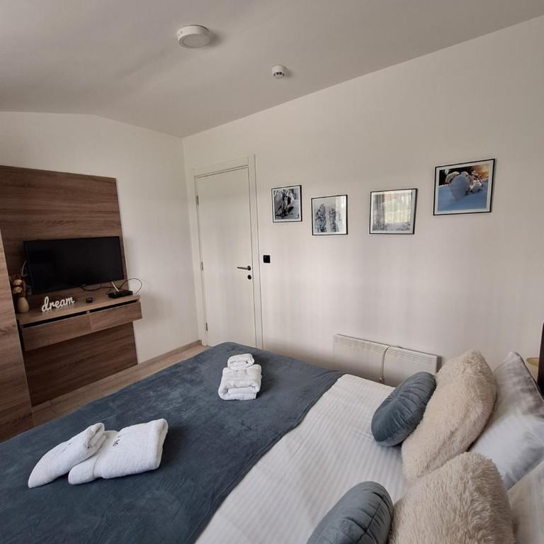 Apartmani L6 & P90 Milmari Kopaonik - Apartman sa 1 Spavaćom Sobom - 4