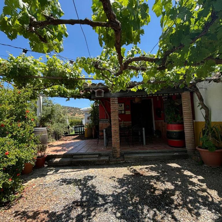 Huerta Del Pasil (Casa Entera) - Casa de 4 dormitorios - 29