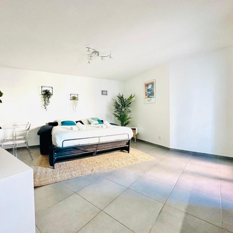Le Cocon - 2 pièces centre Cannes - Terrasse - Appartement 1 Chambre - 20