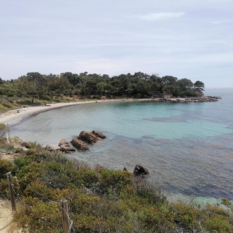 Les Iles d' Or Appartement - Apartamento de 1 dormitorio - 68