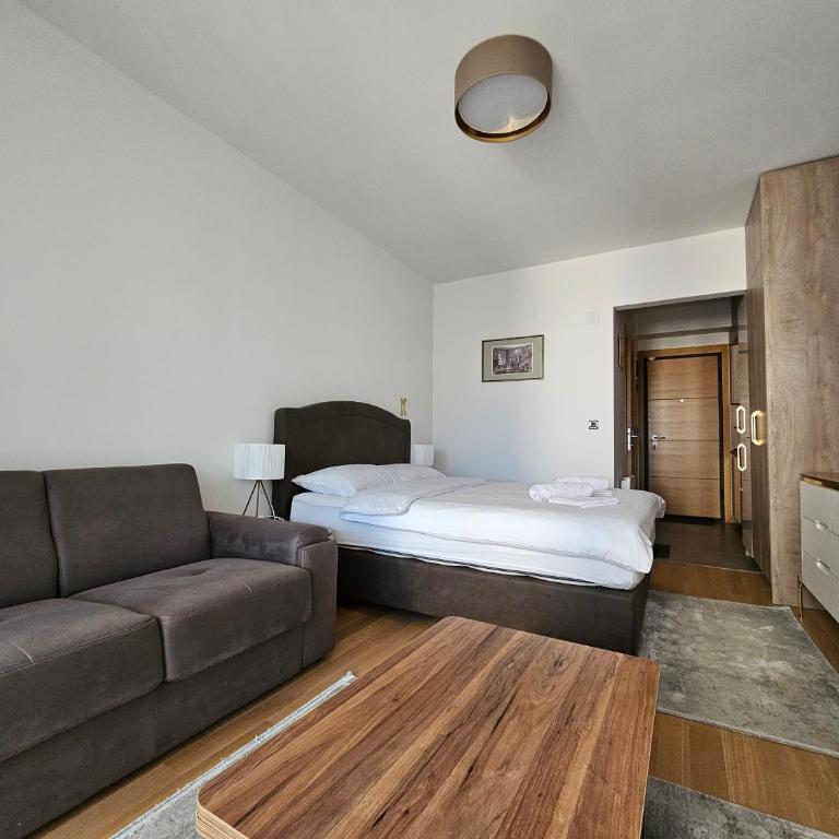 Apartman Vasilije - Studio sa Sofom na Izvlačenje - 6