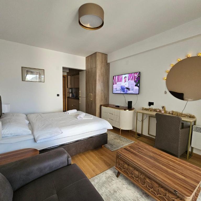 Apartman Vasilije - Studio sa Sofom na Izvlačenje - 7