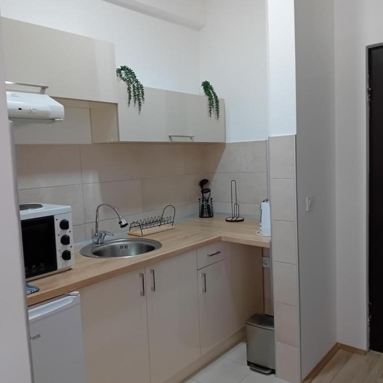 Apartman N Jagodina - Apartman sa 1 Spavaćom Sobom - 15