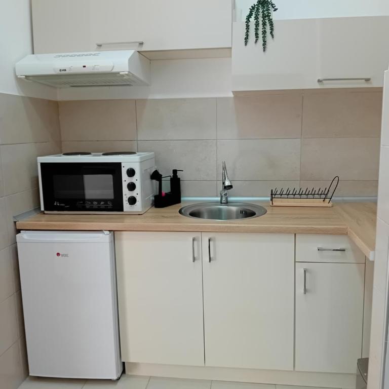 Apartman N Jagodina - Apartman sa 1 Spavaćom Sobom - 16