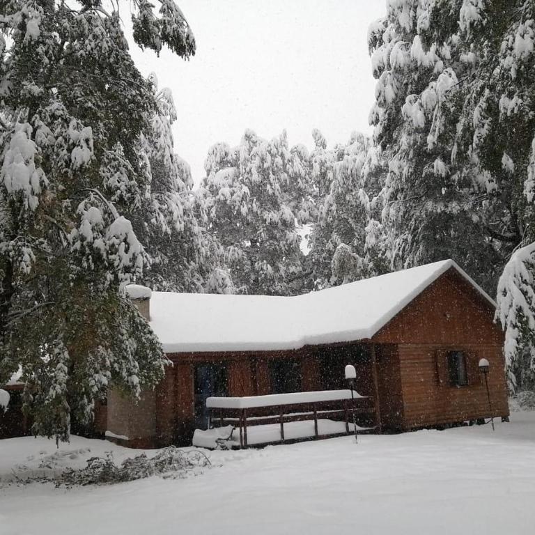 Cabaña en Termas de Chillán - Chalet - 2
