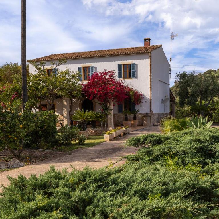 Villa Almadrava - Puerto Pollensa - Llenaire - Villa - 22