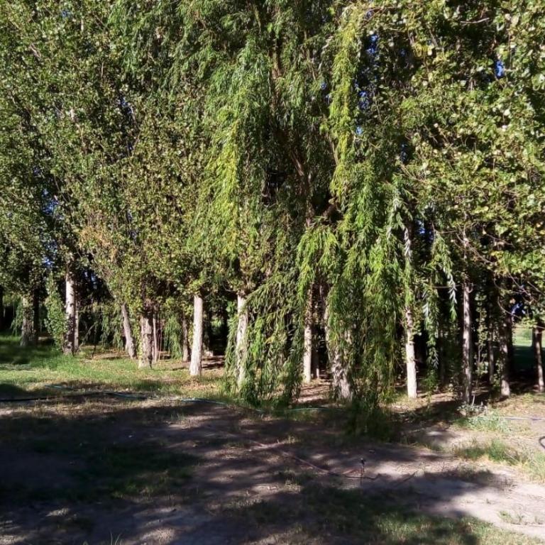 Cabaña de campo Secretos de la Naturaleza - Casa con 1 dormitorio - 10