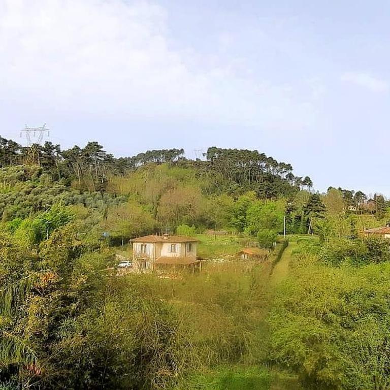 Casa Primetta - Casa con 2 Camere da Letto - 7