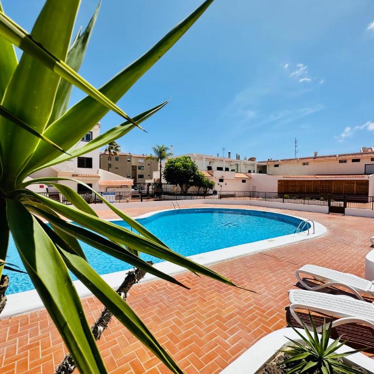 Quiet Coral Mar - Apartamento - 1