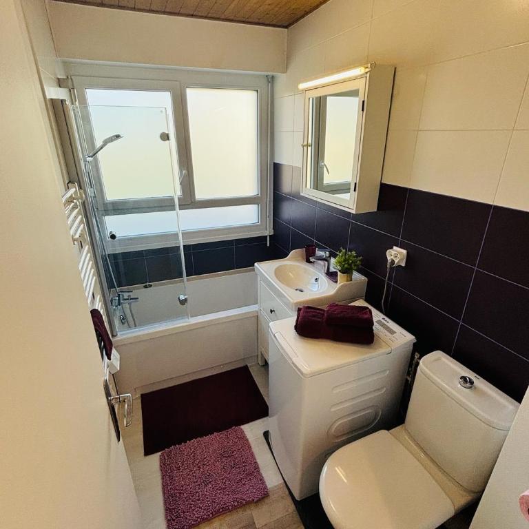 F2 lumineux 40 m2 Face aux thermes de Thonon. - Appartamento con 1 Camera da Letto - 11
