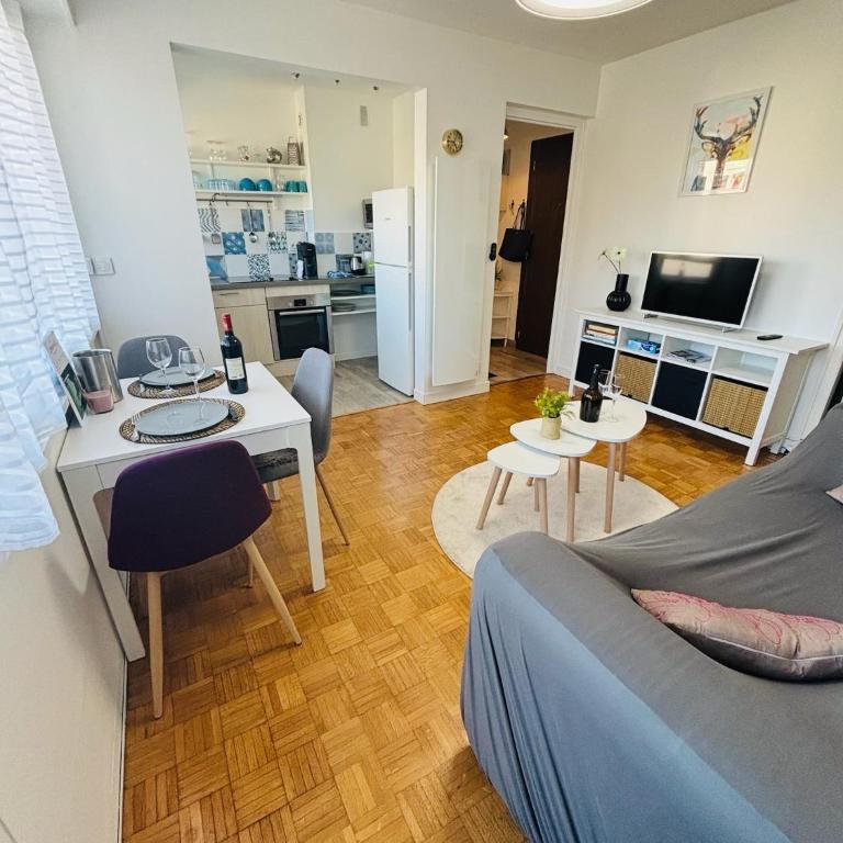 F2 lumineux 40 m2 Face aux thermes de Thonon. - Appartamento con 1 Camera da Letto - 7