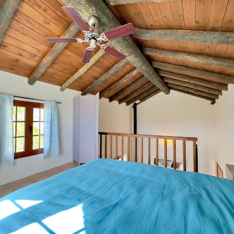 Finca el Cerro - Piscina y Jacuzzi - Chalet - 11