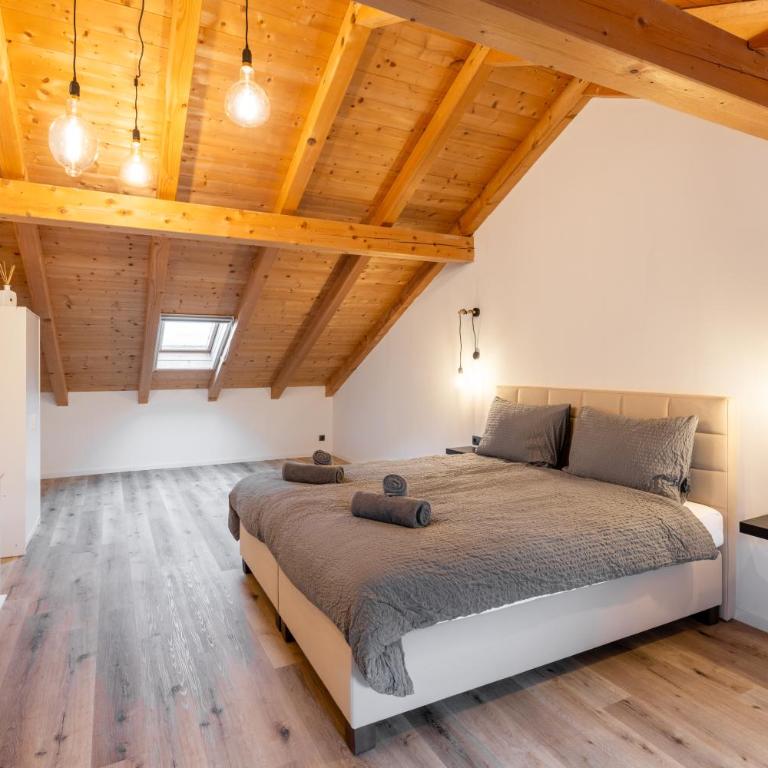 Jägerlodge Apartments - Apartamento Ático - 3