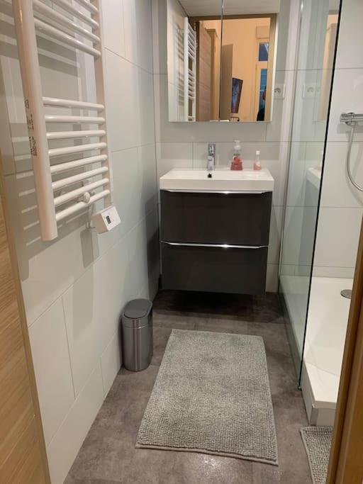 Studio cosy 2 pers en plein centre avec balcon - Studio Duplex - 8