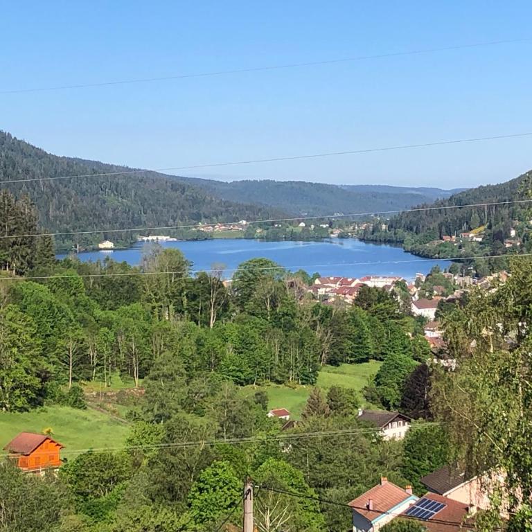 F3 Superbe vue lac, grand balcon, ambiance nature - Appartement 2 Chambres - 9