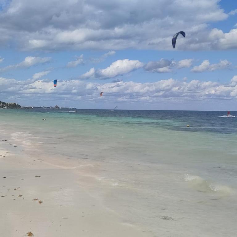 Modern 1 bedroom suite by beach Great location! - One-Bedroom Apartment - 48