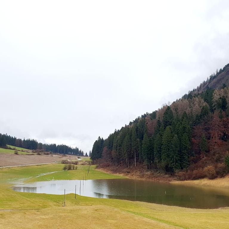 Tirol in Balin - La Stua - Apartment mit 2 Schlafzimmern - 24