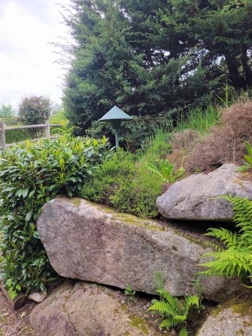 Chalet Goutelle, paisible en pleine nature - Chalet - 9