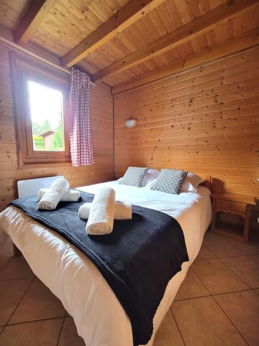 Chalet Goutelle, paisible en pleine nature - Chalet - 22
