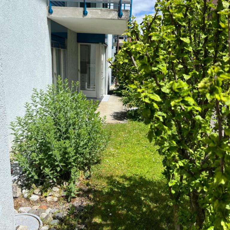 Apartment TOM - Apartamento de 2 dormitorios - 25