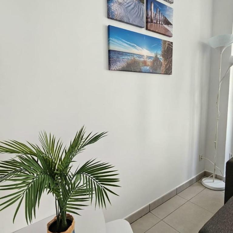 Mamba Beach II - Two-Bedroom Apartment - 10