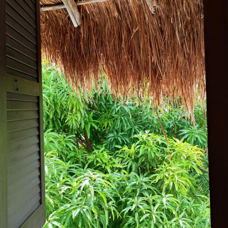 Amaranto Bed and Breakfast - Habitación Doble con vistas - 14