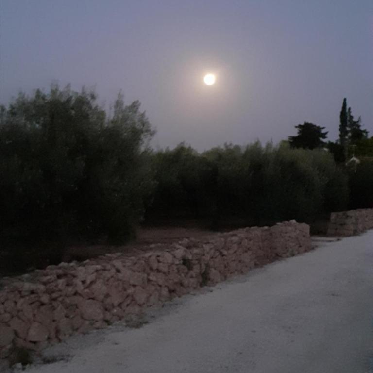 GELSOMINO SIRACUSA - Appartamento con 2 Camere da Letto - 21