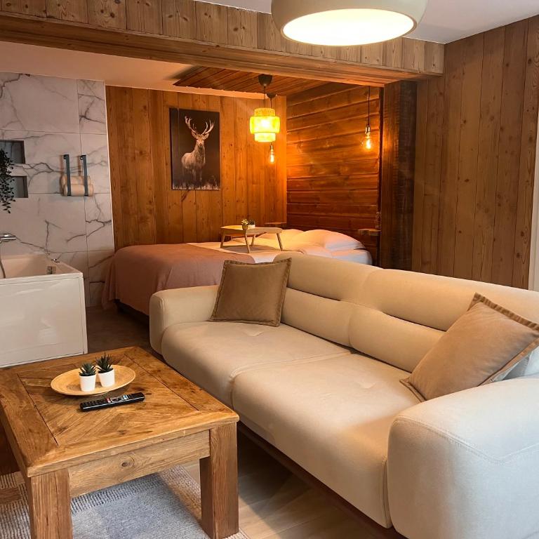 Hohneck - Studio de Montagne La Bresse / Gerardmer - Apartamento de 1 dormitorio - 4